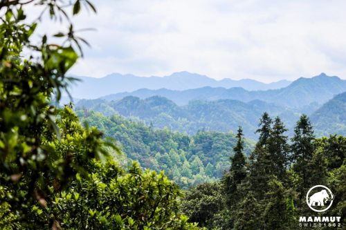 烟雨中的黑瓦白墙，MAMMUT黄山徽州古城百公里越野赛第4张